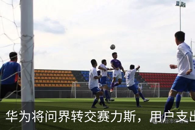 华为将问界转交赛力斯，用户支出的溢价究竟是什么？